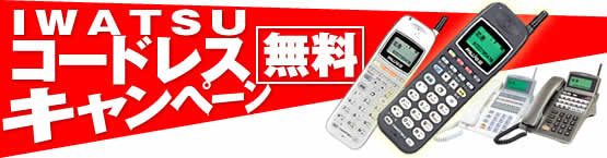 IWATSU���Ãr�W�l�X�z���R�[�h���X�����L�����y�[��